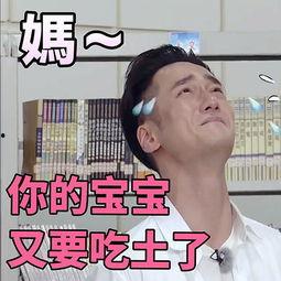 吃瓜群众表情配文字,笑料百出，揭秘网络社交新潮流